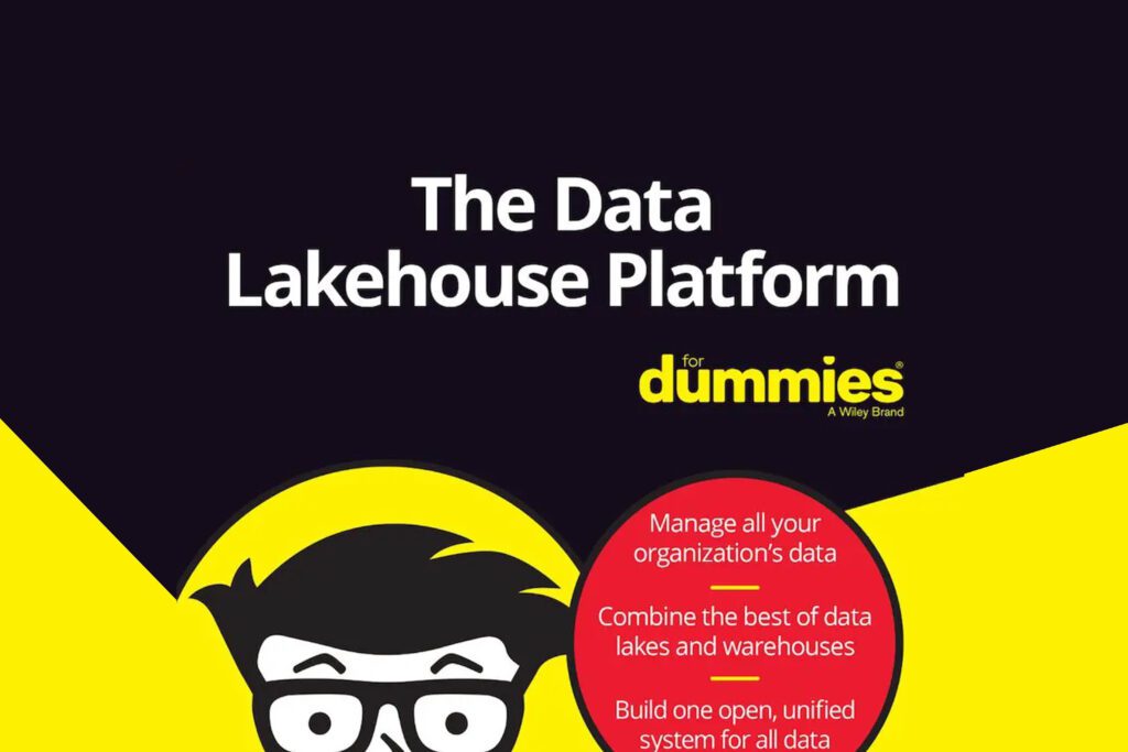 gemineye and databricks platform for dummies