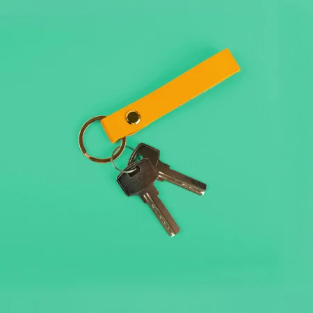 Set of two keys on a mint green background.